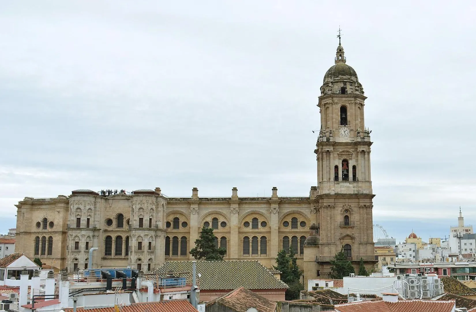 Malaga Centro By Sharingco contacts